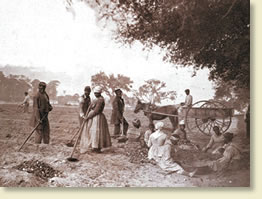 southern plantation